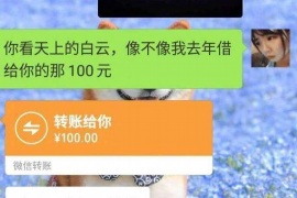 湄潭如何避免债务纠纷？专业追讨公司教您应对之策